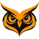 The Impact Owl